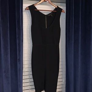 BCBG Maxazria Bodycon Dress
